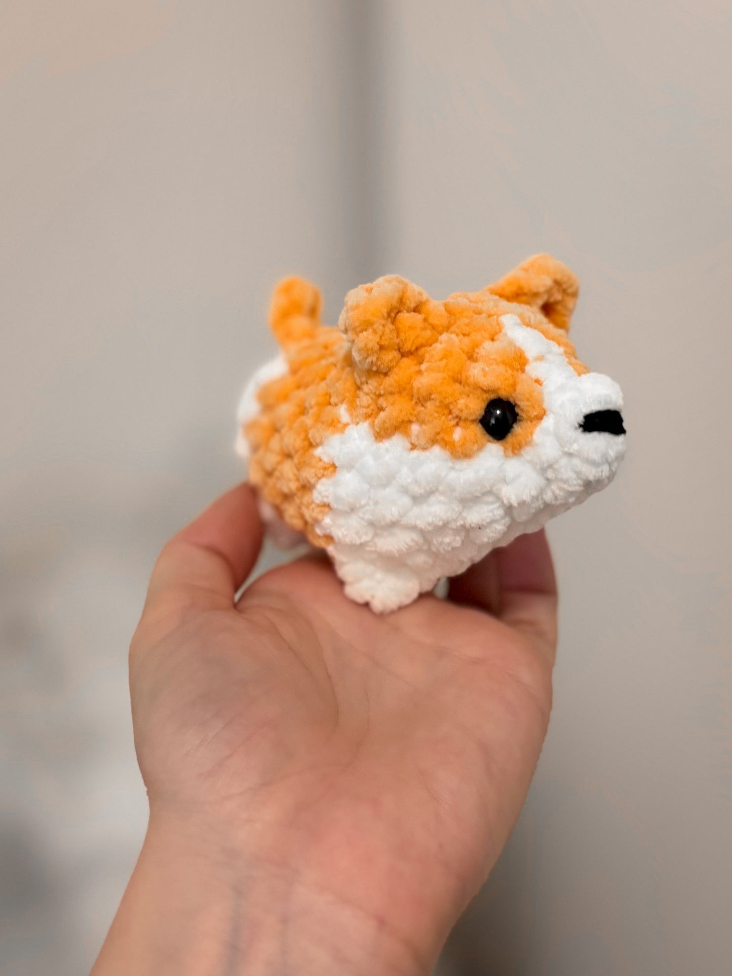 Corgi - 3