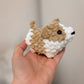 Corgi - 2