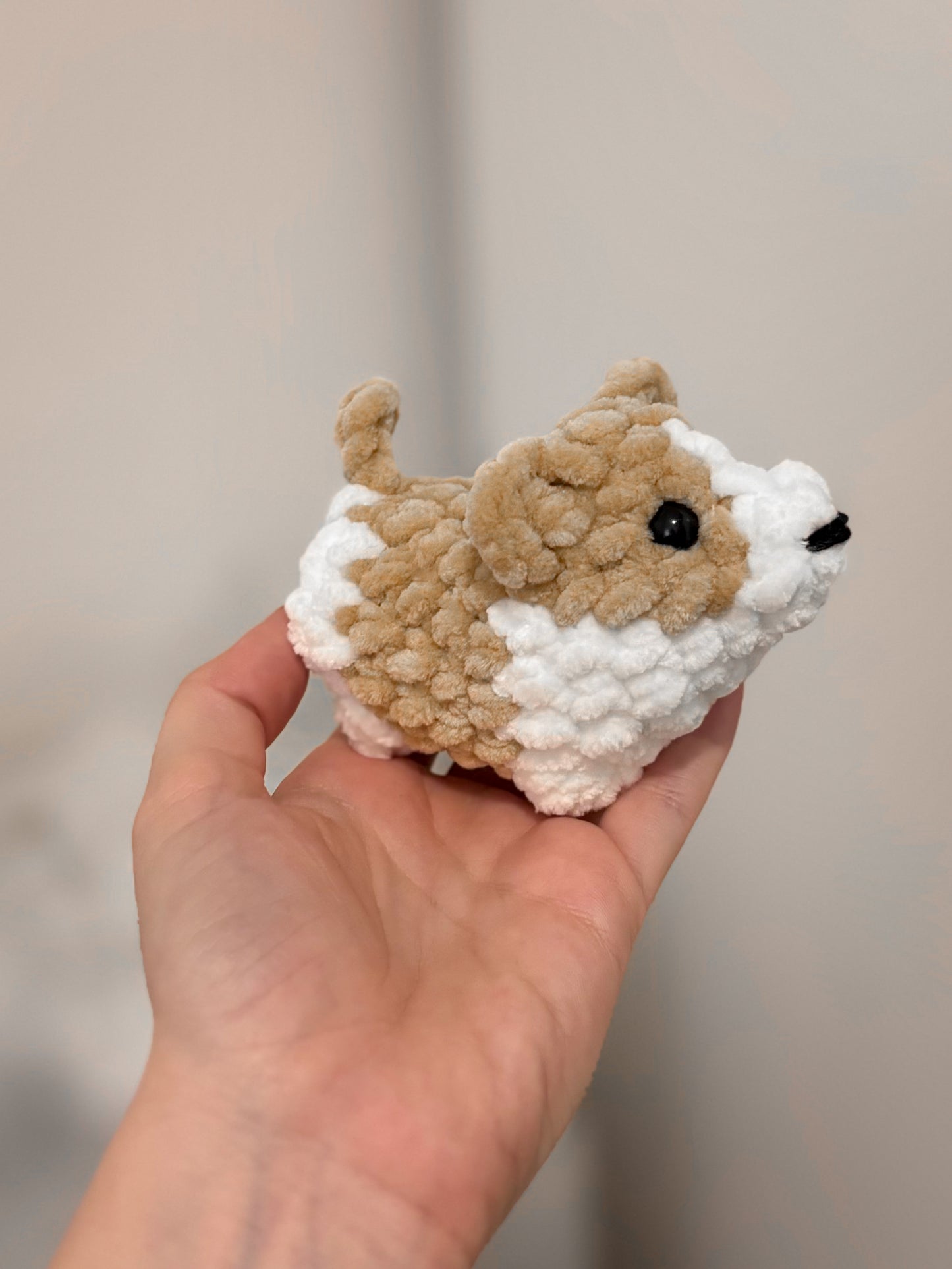 Corgi - 2