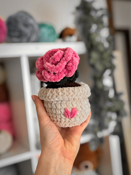 Virág - rózsaszín