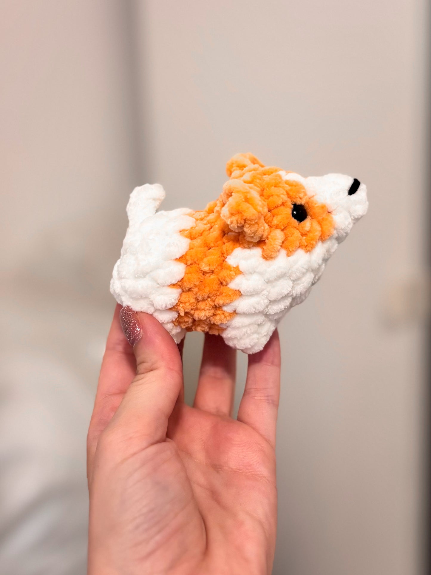 Corgi - 1