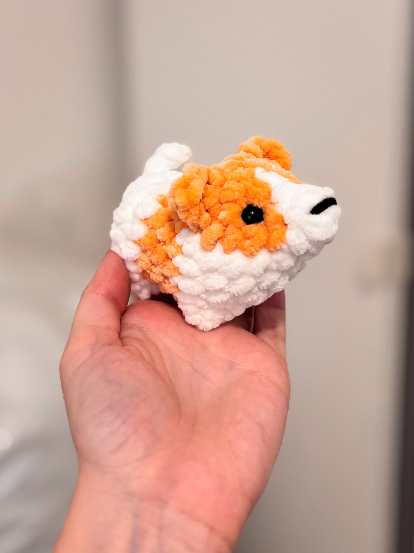 Corgi - 1