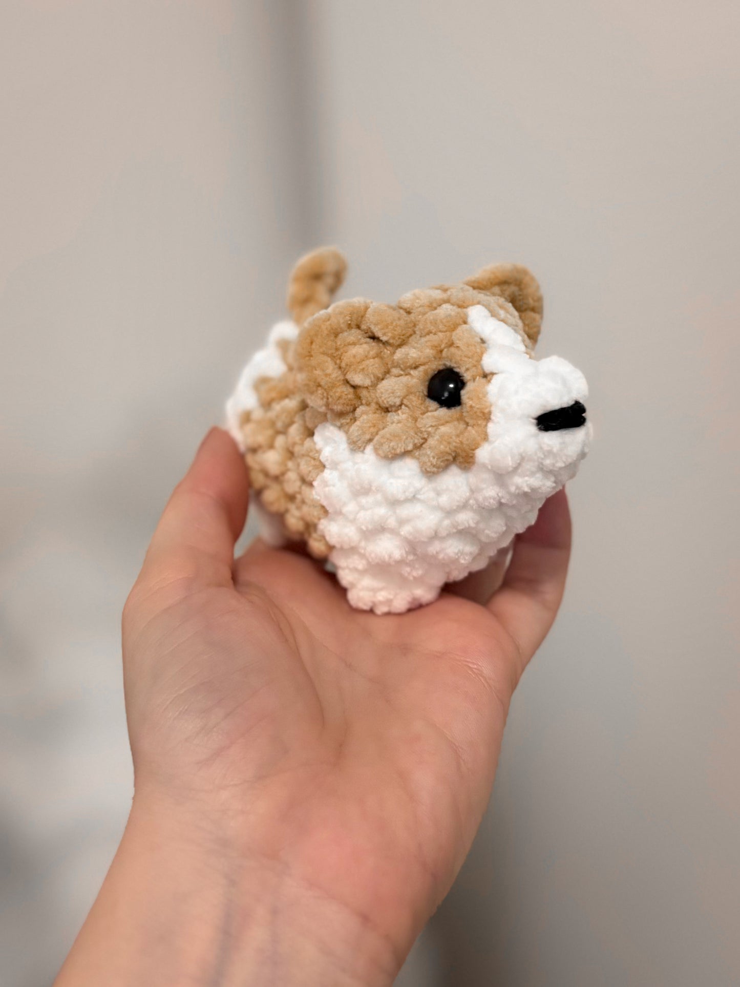 Corgi - 2