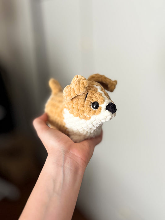 Mini corgi - barna
